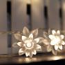 ER CHEN(TM) Battery Operated Indoor and Outdoor 60 LED Lotus Flower Fairy Lights on 22ft PVC String 