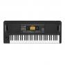 Korg EK-50 61-Key Arranger