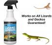 Lizard Defense All Natural Det…