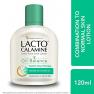 Lacto Calamine Oil Control Fac…