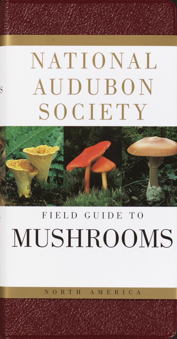 National Audubon Society Field Guide to North American Mushrooms (National Audubon Society Field Gui