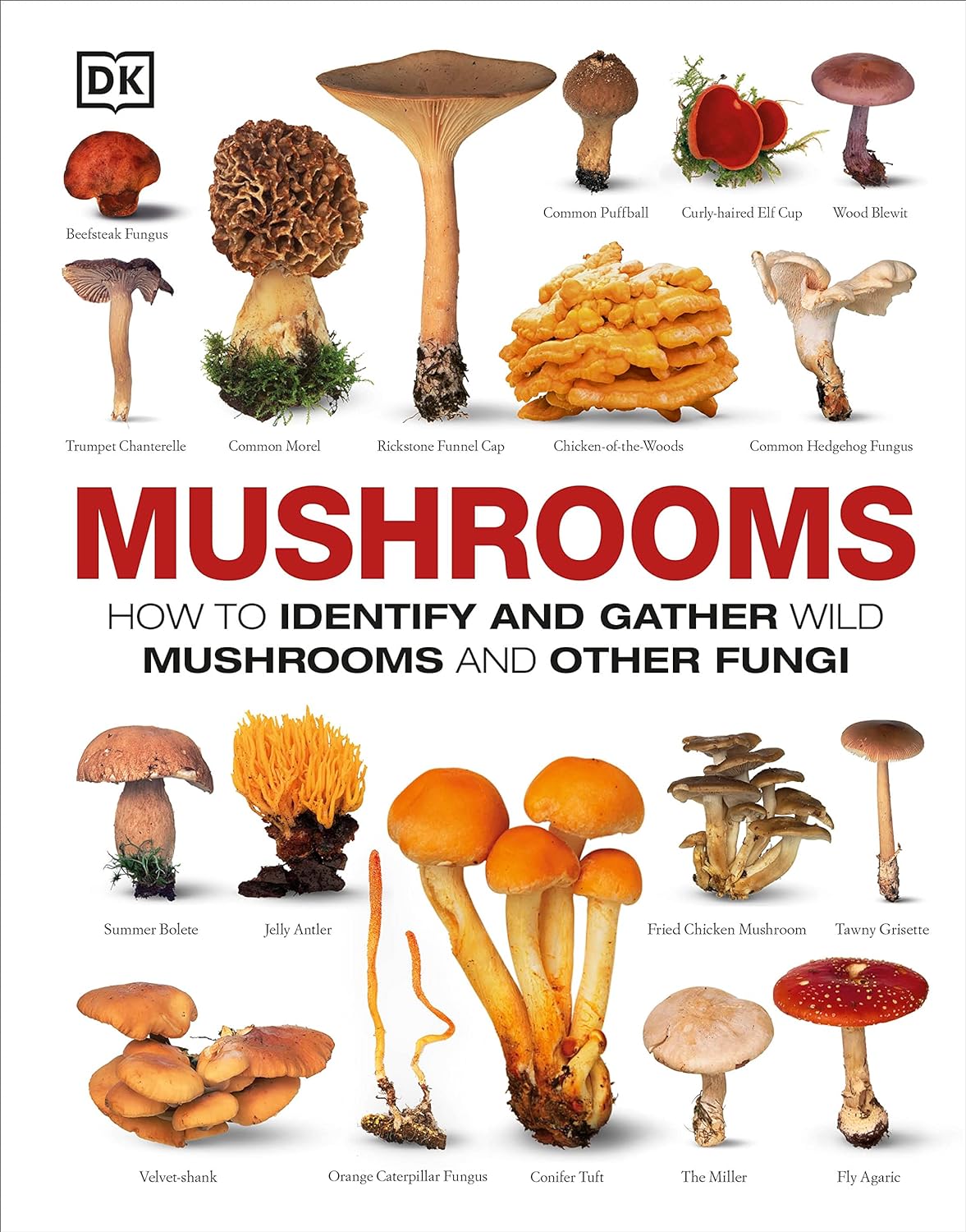 Mushrooms: How to Identify and…