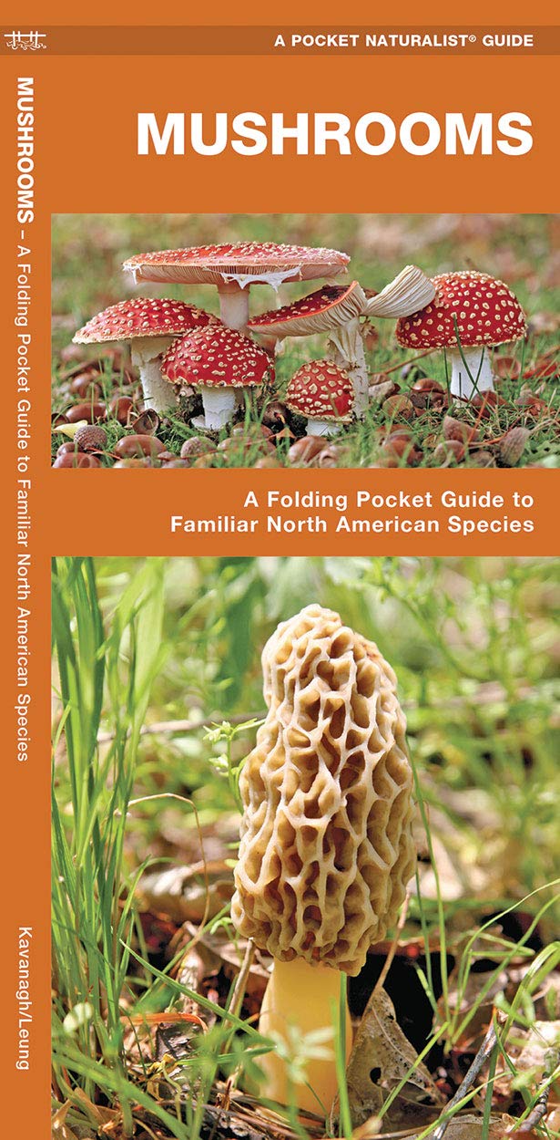 Mushrooms: A Folding Pocket Guide to Fam…