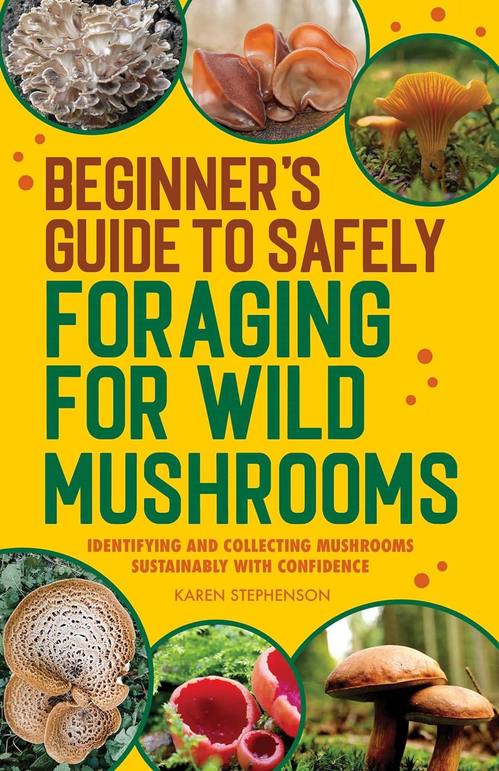 Beginners Guide to Safely Foraging for W…