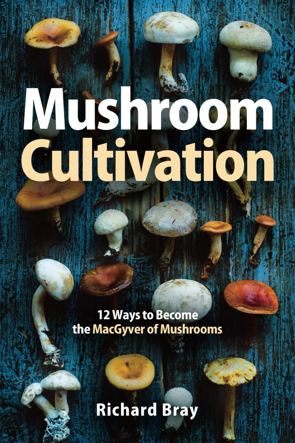 Mushroom Cultivation: 12 Ways to Become …