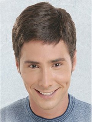 Mature Brown Straight Short Men Wigs (SK…